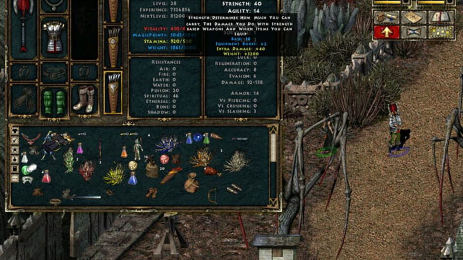 Screenshot for Beyond Divinity