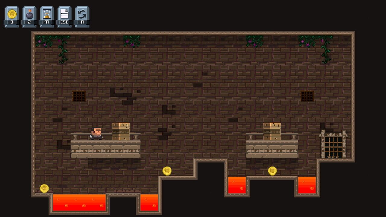 Screenshot for Debtor