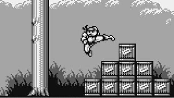 Screenshot for Teenage Mutant Ninja Turtles III: Radical Rescue