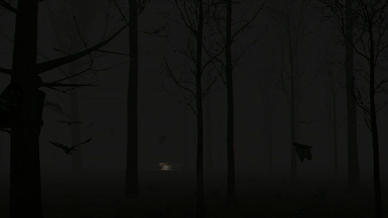 Screenshot for Crows