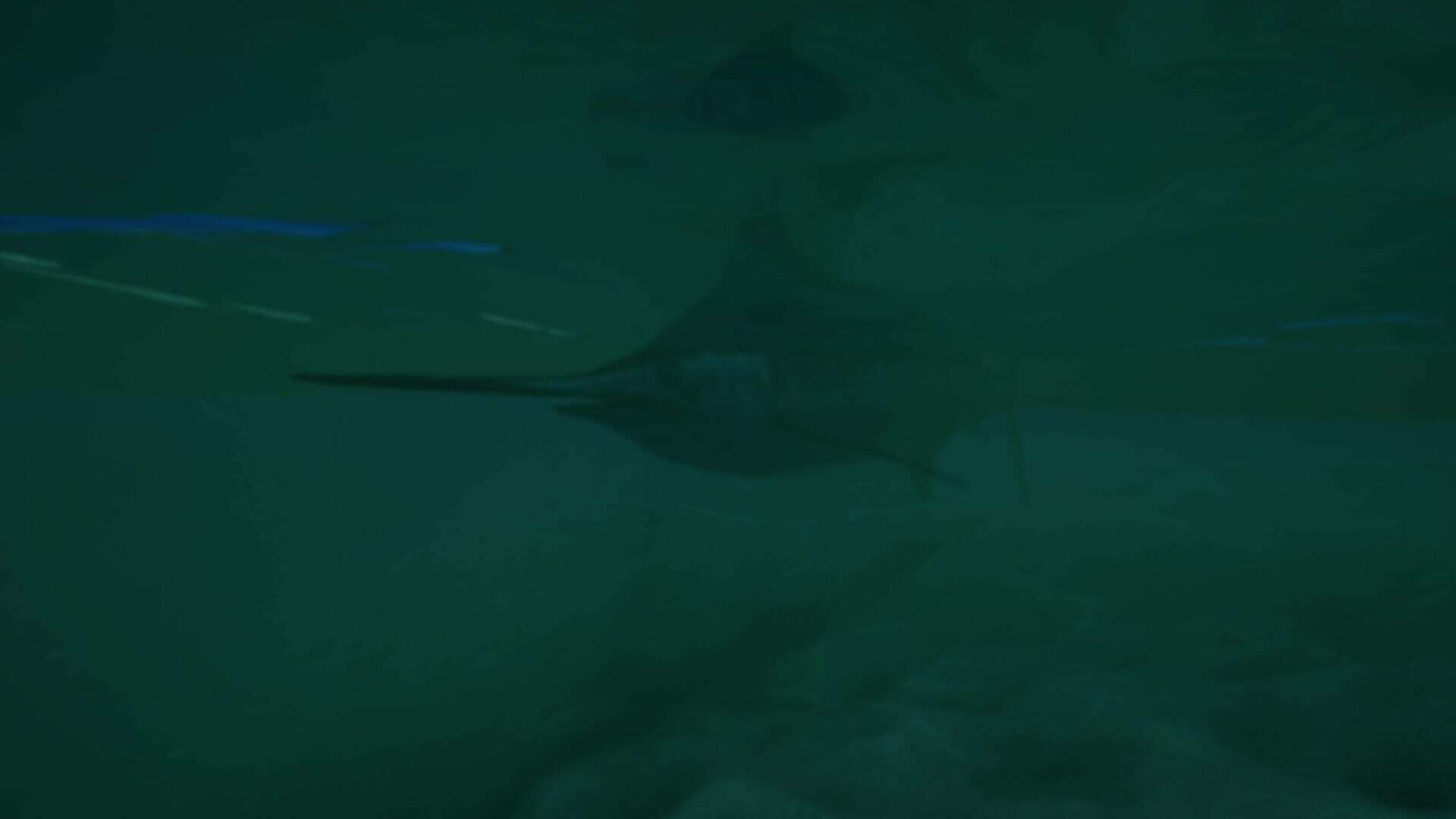 Screenshot for Ultimate Fishing Simulator 2: Delaware Bay