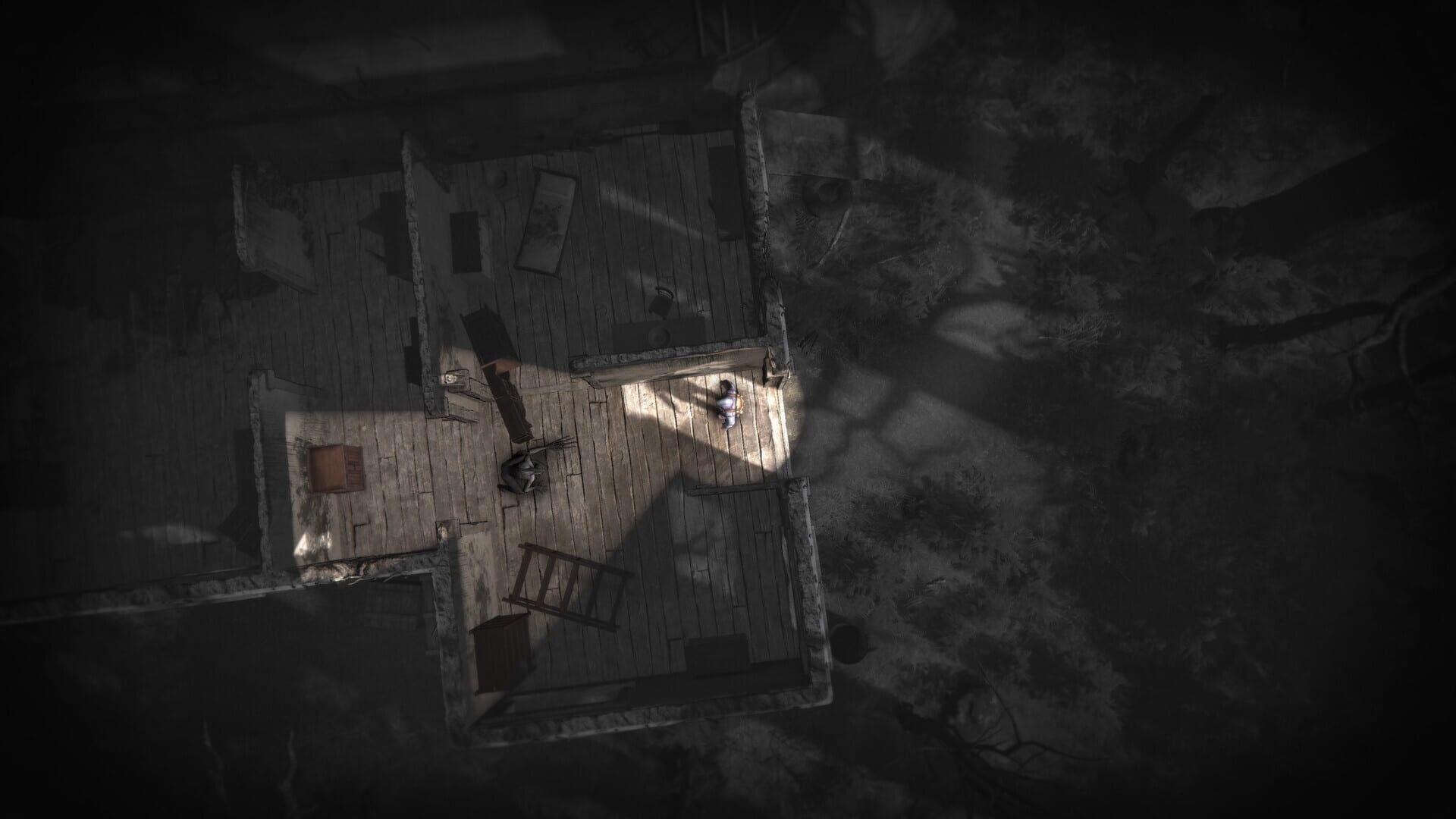 Screenshot for Darkwood II