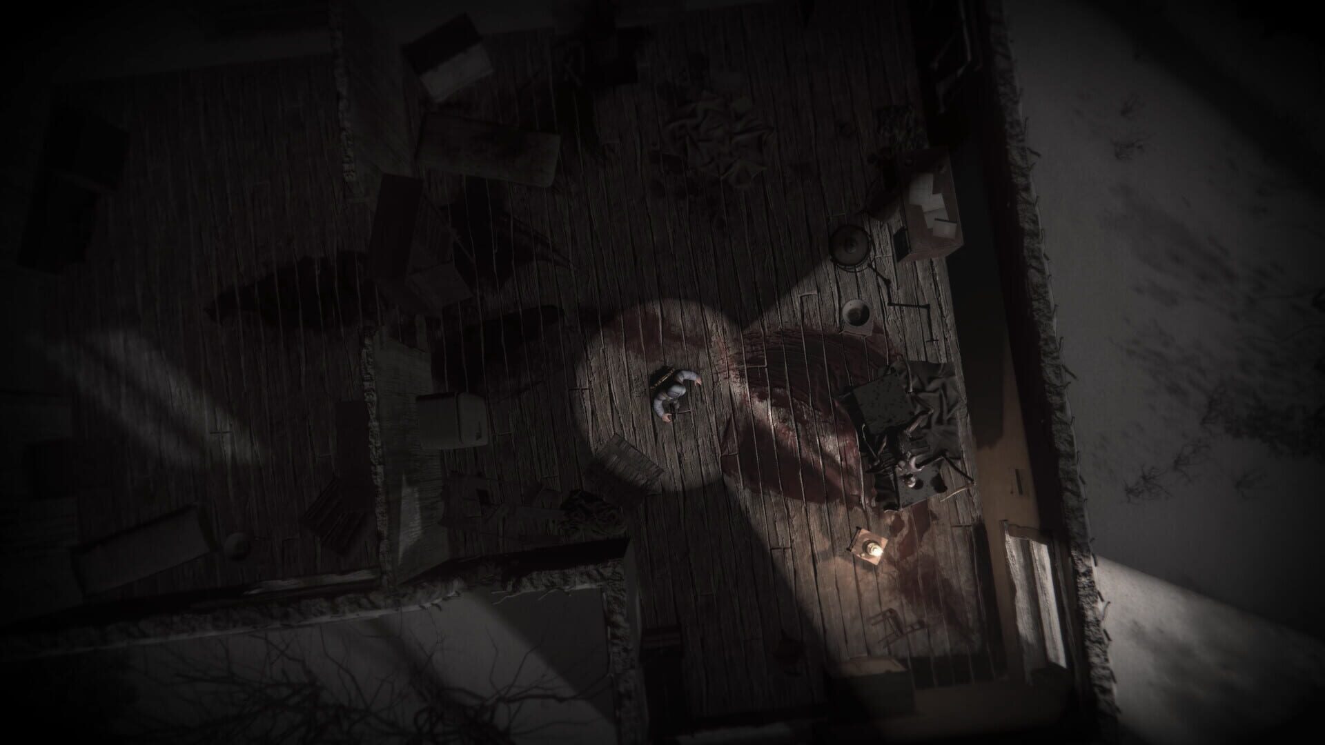 Screenshot for Darkwood II