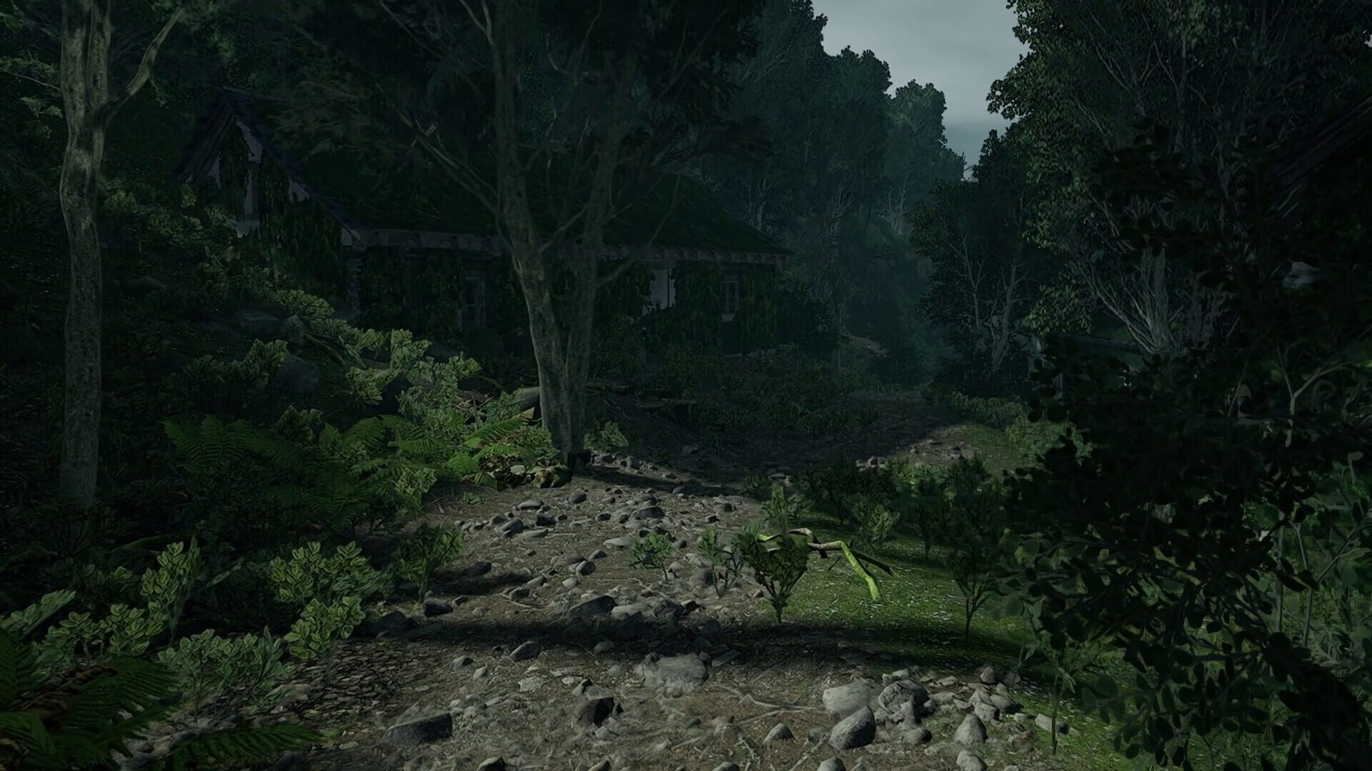 Screenshot for Lushfoil Photography Sim VR