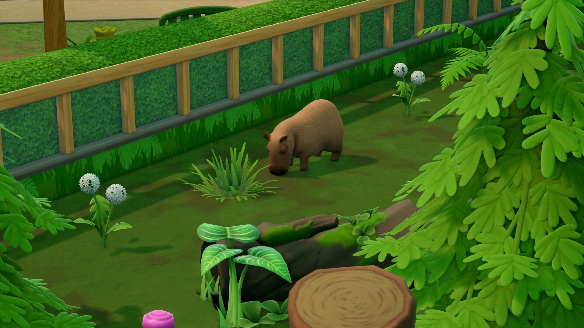 Screenshot for Two Point Museum: Zooseum