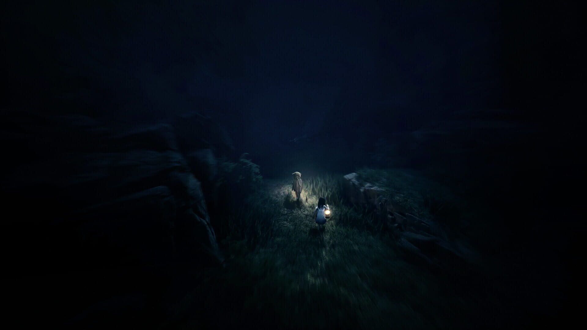 Screenshot for Reanimal