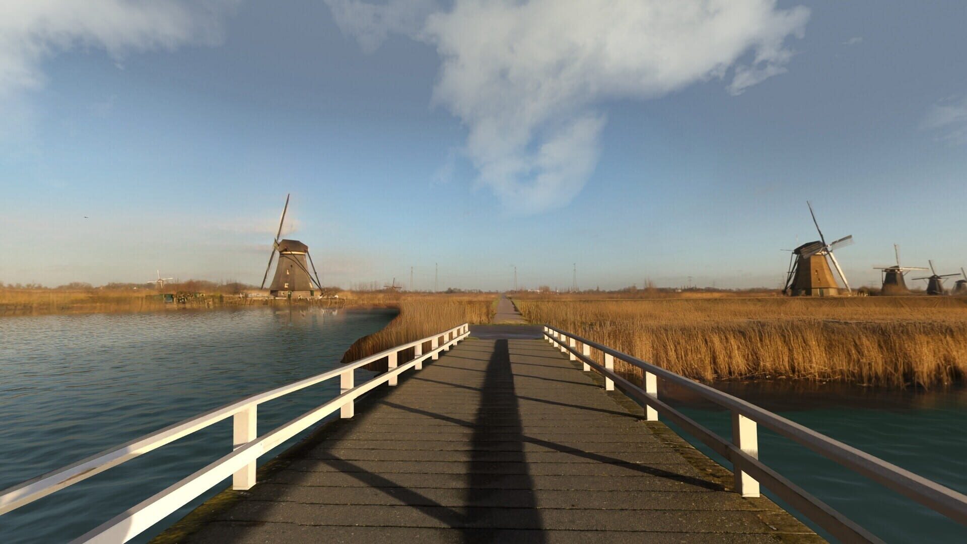 Screenshot for Real VR Fishing: Western Europe - Netherlands