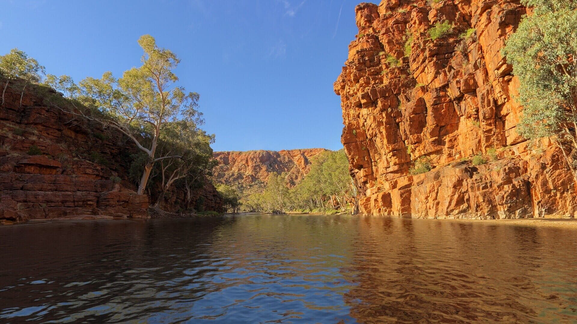 Screenshot for Real VR Fishing: Oceania DLC