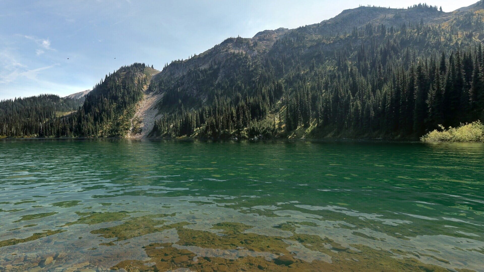 Screenshot for Real VR Fishing: Canada DLC