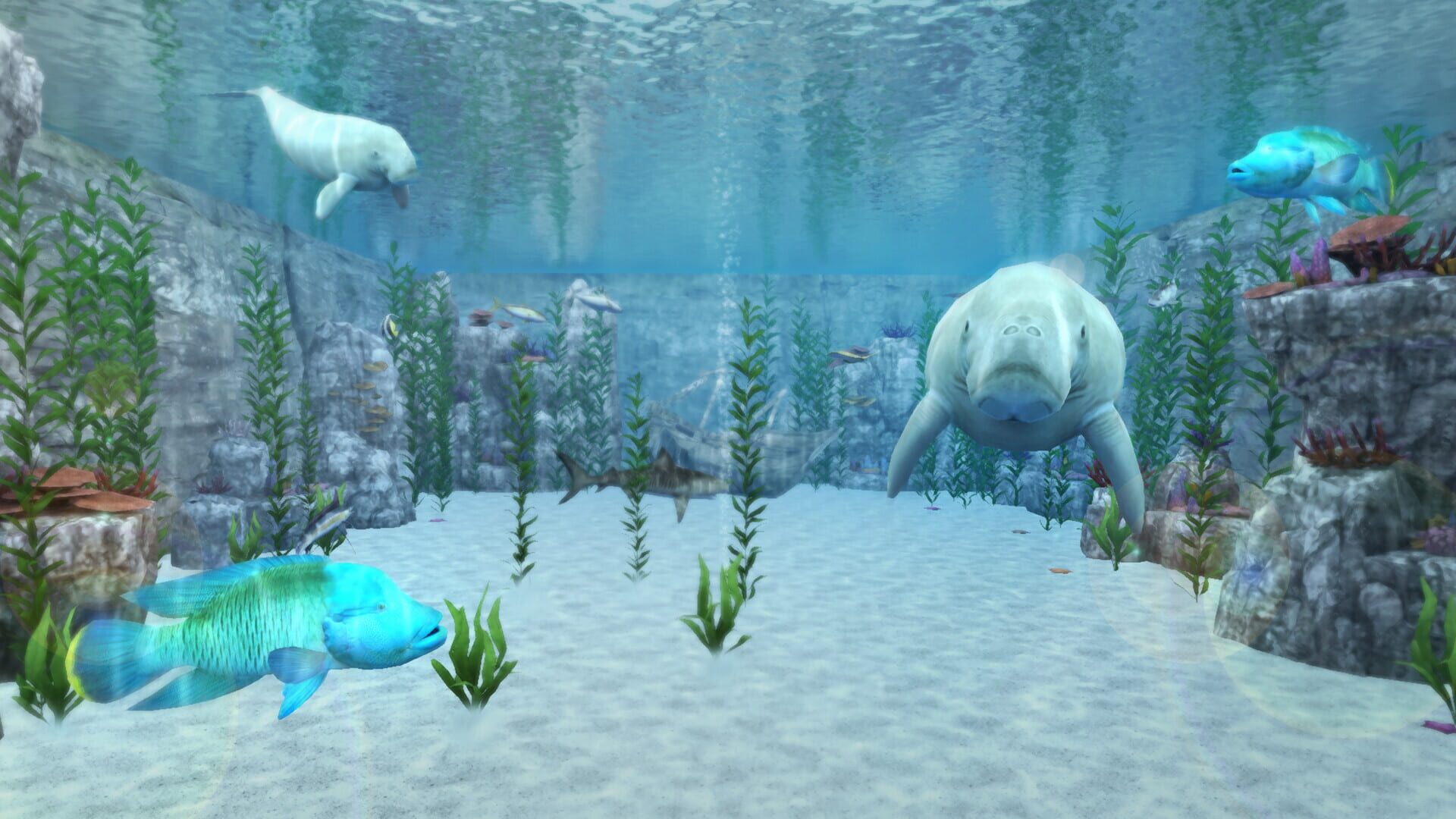 Screenshot for Real VR Fishing: Japan DLC Part 1