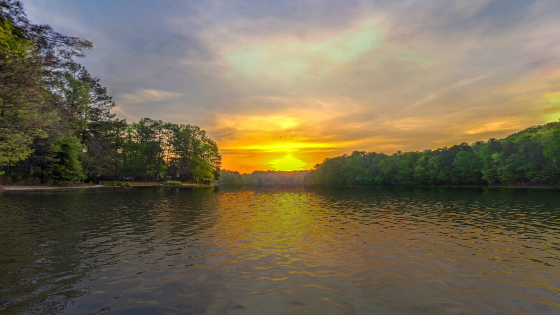 Screenshot for Real VR Fishing: US East Coast DLC
