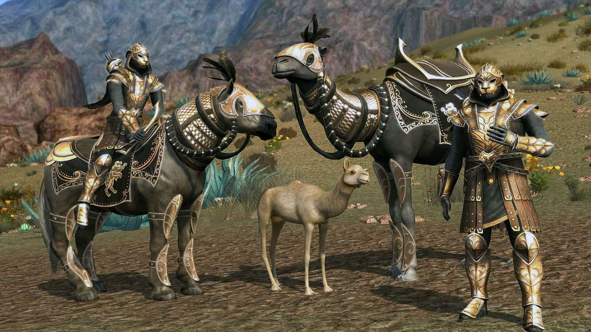 Screenshot for The Lord of the Rings Online: Kingdoms of Harad