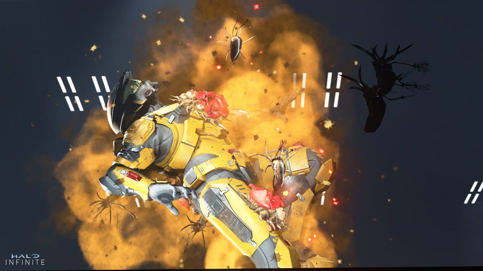 Screenshot for Halo Infinite: Operation Haloween II
