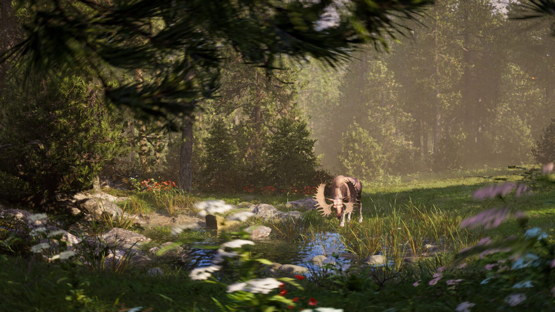 Screenshot for Way of the Hunter 2