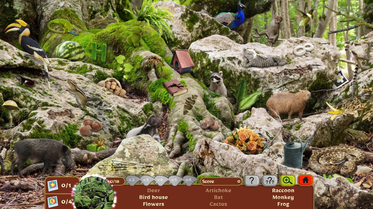 Screenshot for Nature Escapes 5: Collector's Edition