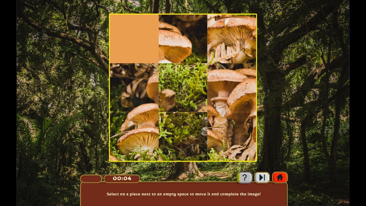 Screenshot for Nature Escapes 5: Collector's Edition