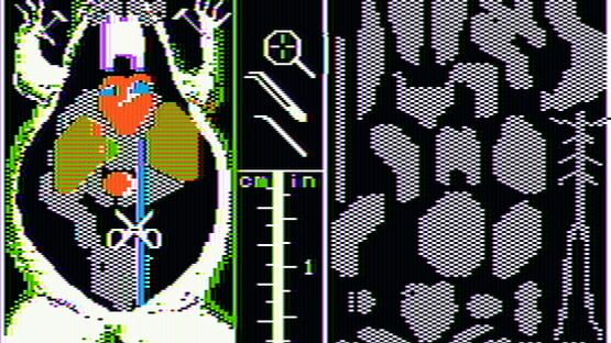 Screenshot for Operation Frog