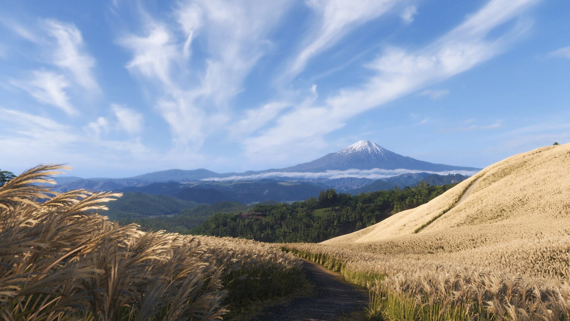 Screenshot for Forza Horizon 6