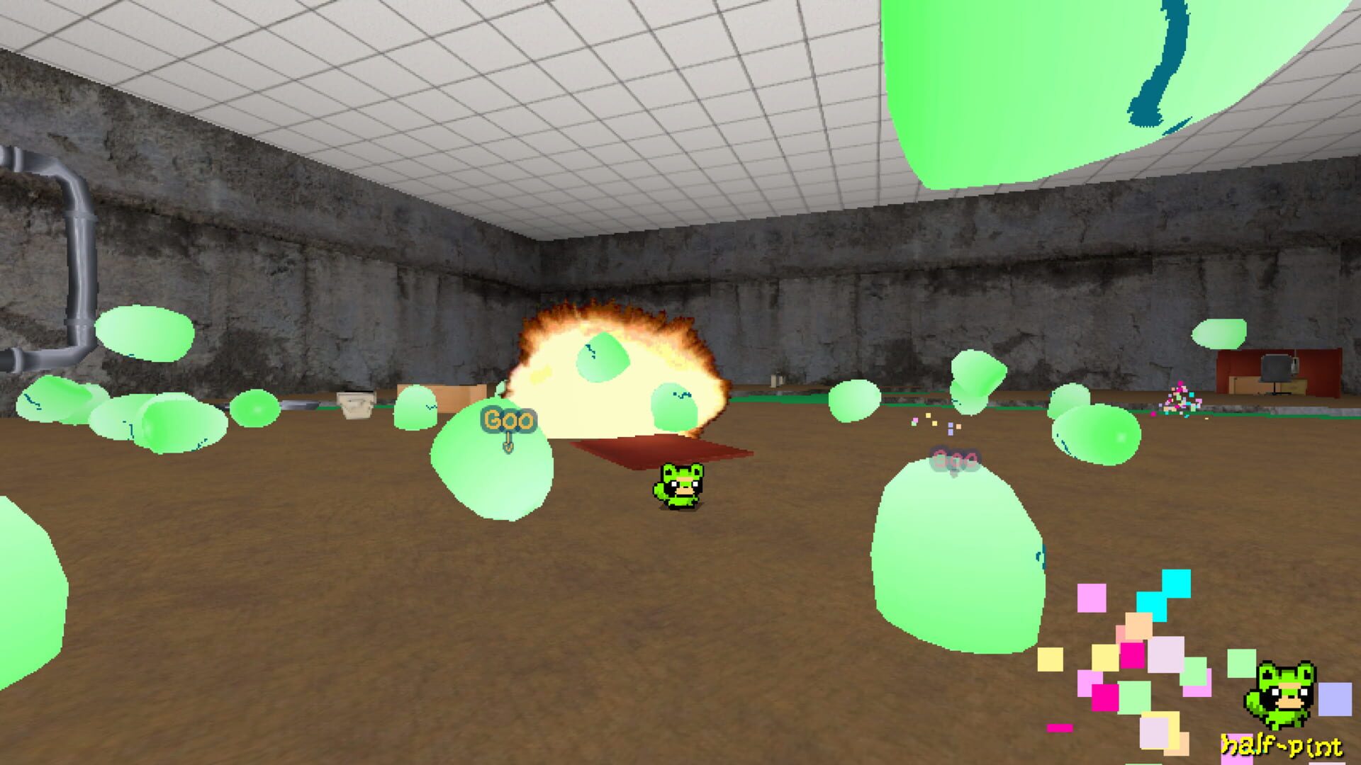 Screenshot for Funi Raccoon Game