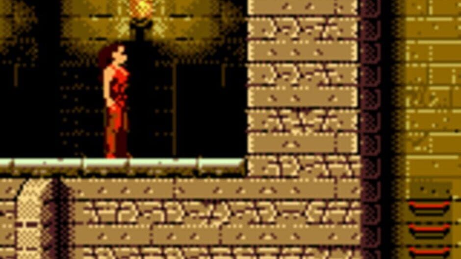 Screenshot for Fort Boyard