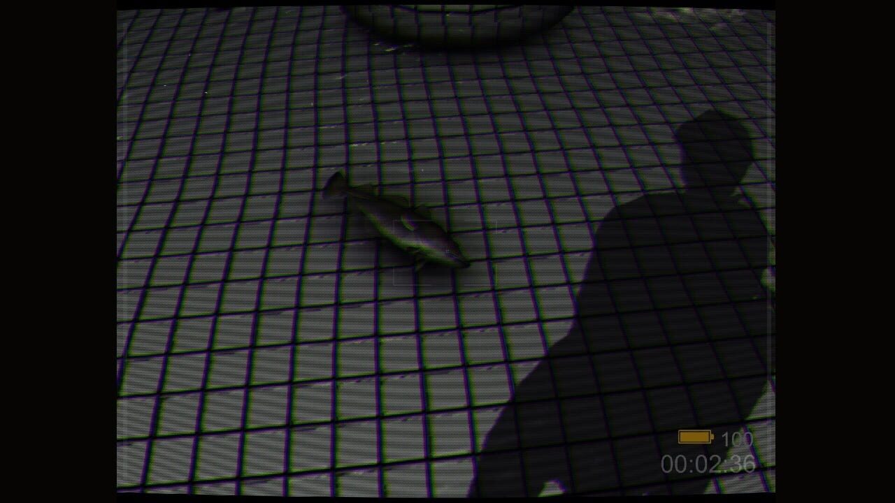 Screenshot for Backrooms: Poolrooms