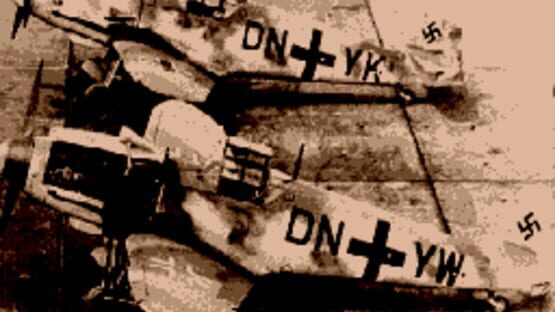 Screenshot for US AAF Mustang