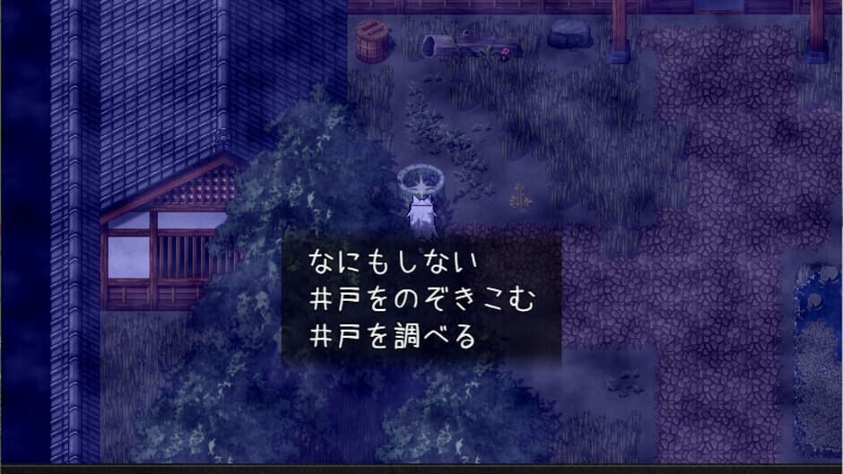 Screenshot for The Cursed Moon: The Girl Trapped in the Haunted House
