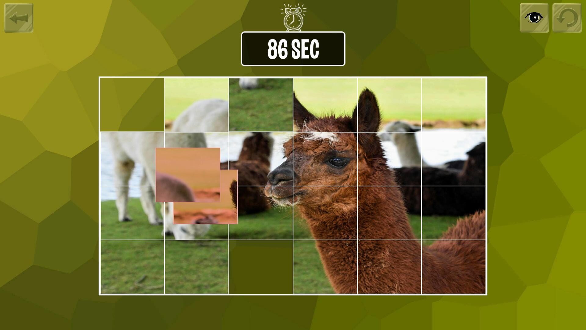 Screenshot for Easy Puzzle: Animals
