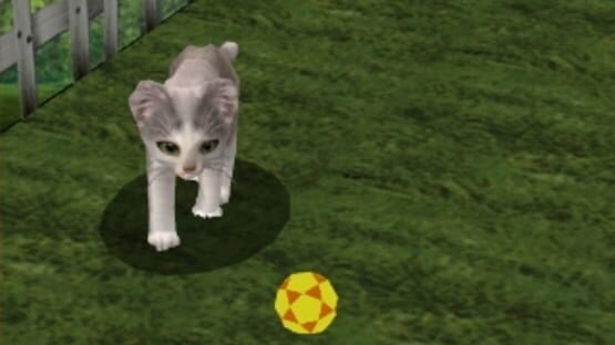 Screenshot for Nyan to Wonderful