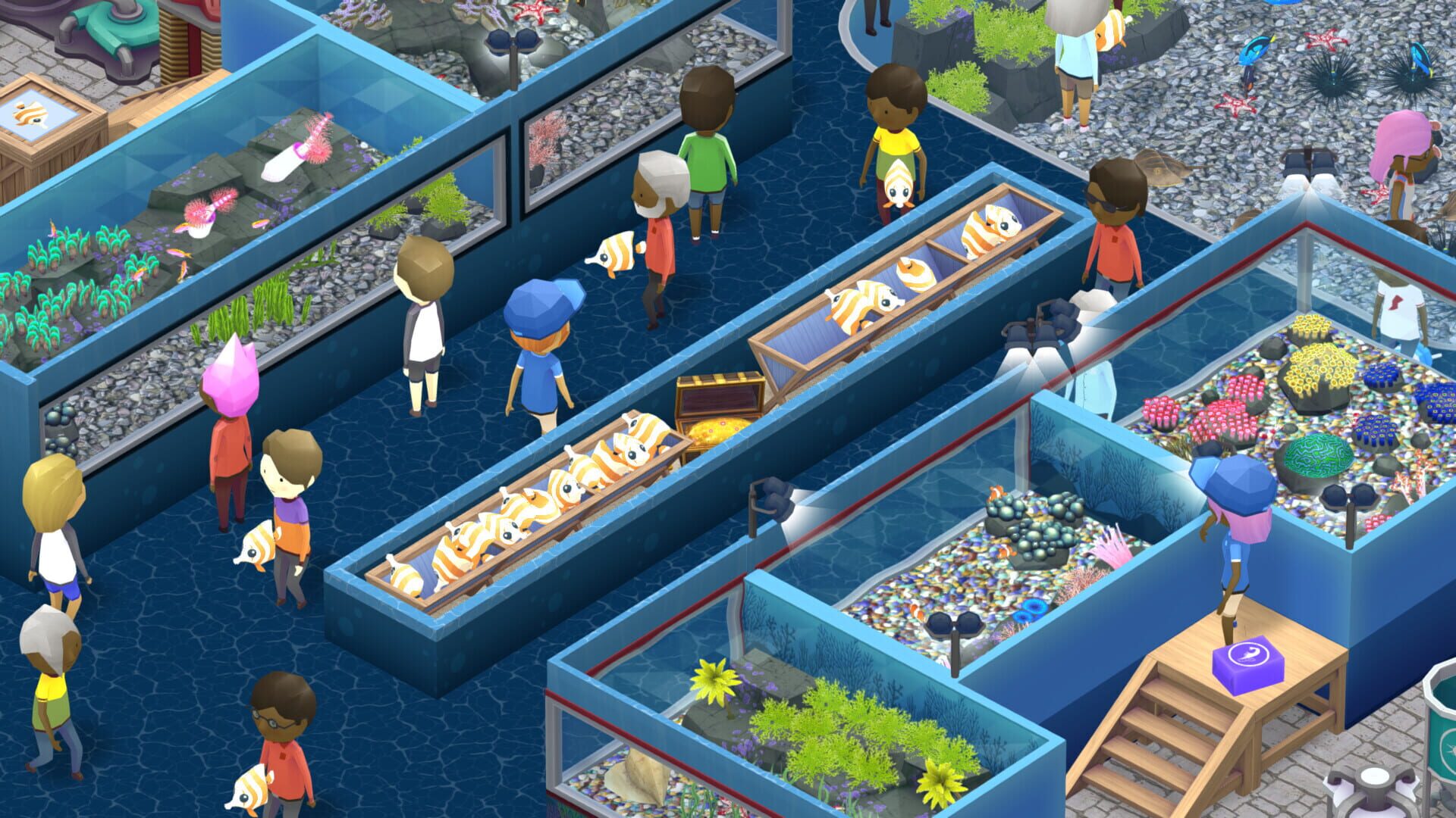 Screenshot for Megaquarium: Invertebrilliant Collection