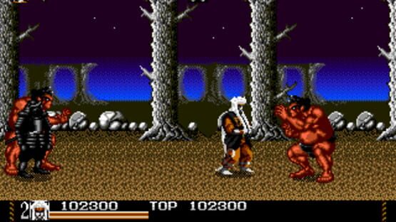 Screenshot for Mystical Fighter