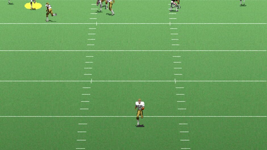 Screenshot for Unnecessary Roughness '96