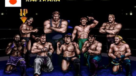 Screenshot for Sougou Kakutougi: Astral Bout 2 - The Total Fighters