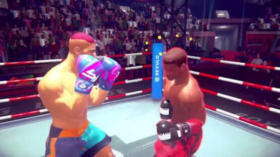 Screenshot for Casual Sport Series: Boxing