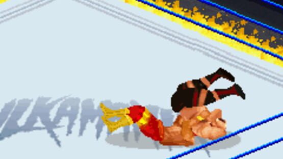 Screenshot for Hulkamania Wrestling