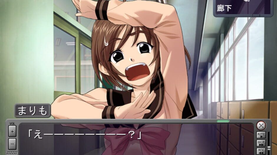 Screenshot for Sekai no Subete: Two of Us