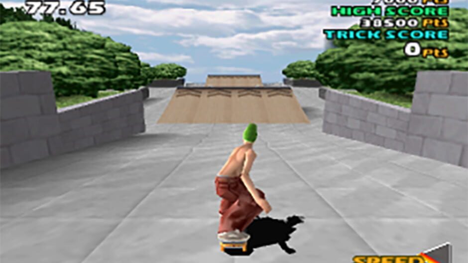 Screenshot for Street Sk8er 2