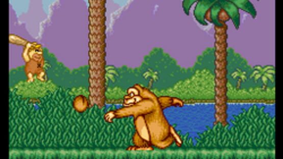 Screenshot for The Flintstones: The Treasure of Sierra Madrock
