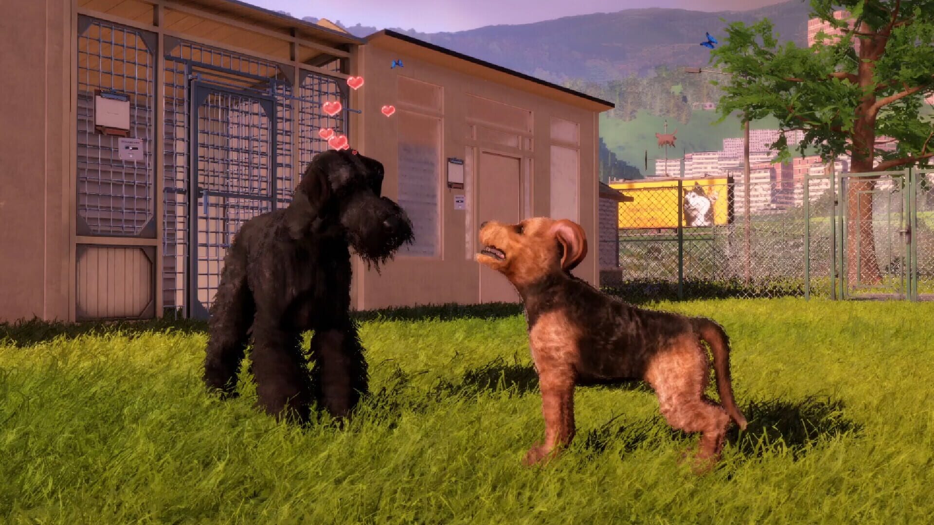Screenshot for Animal Shelter 2: Hunting Dogs Pack