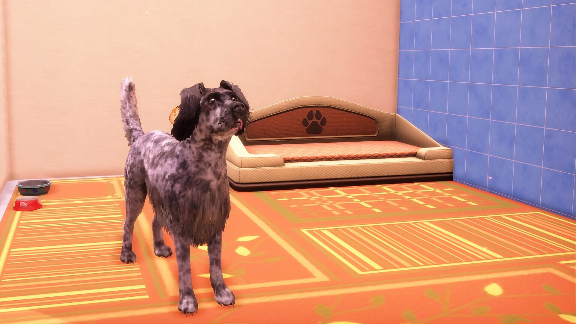 Screenshot for Animal Shelter 2: Hunting Dogs Pack