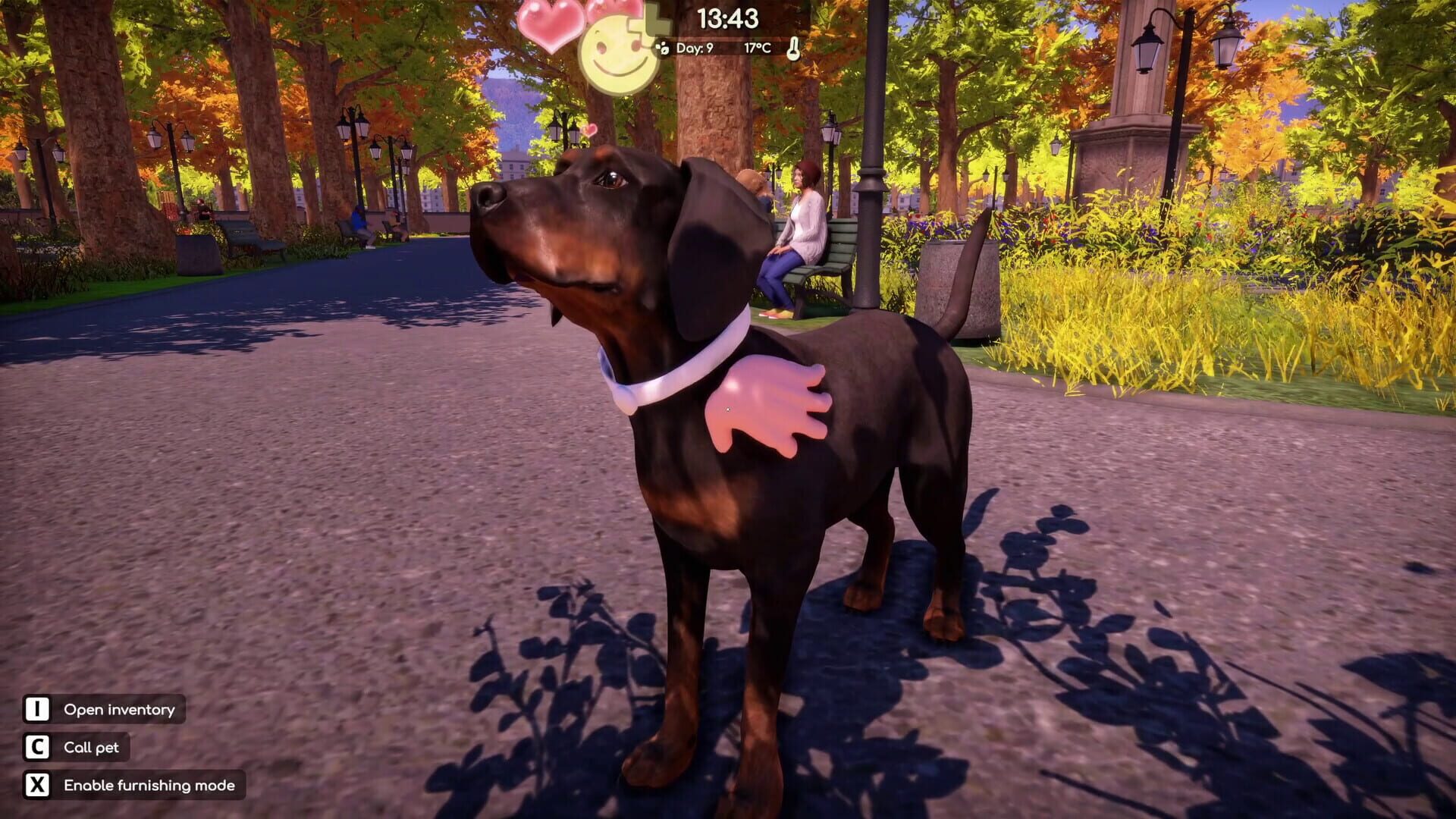 Screenshot for Animal Shelter 2: Hunting Dogs Pack