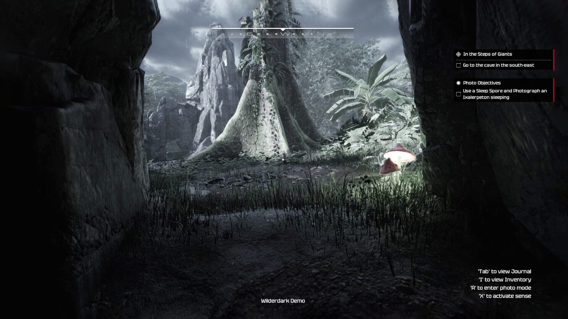 Screenshot for Wilderdark