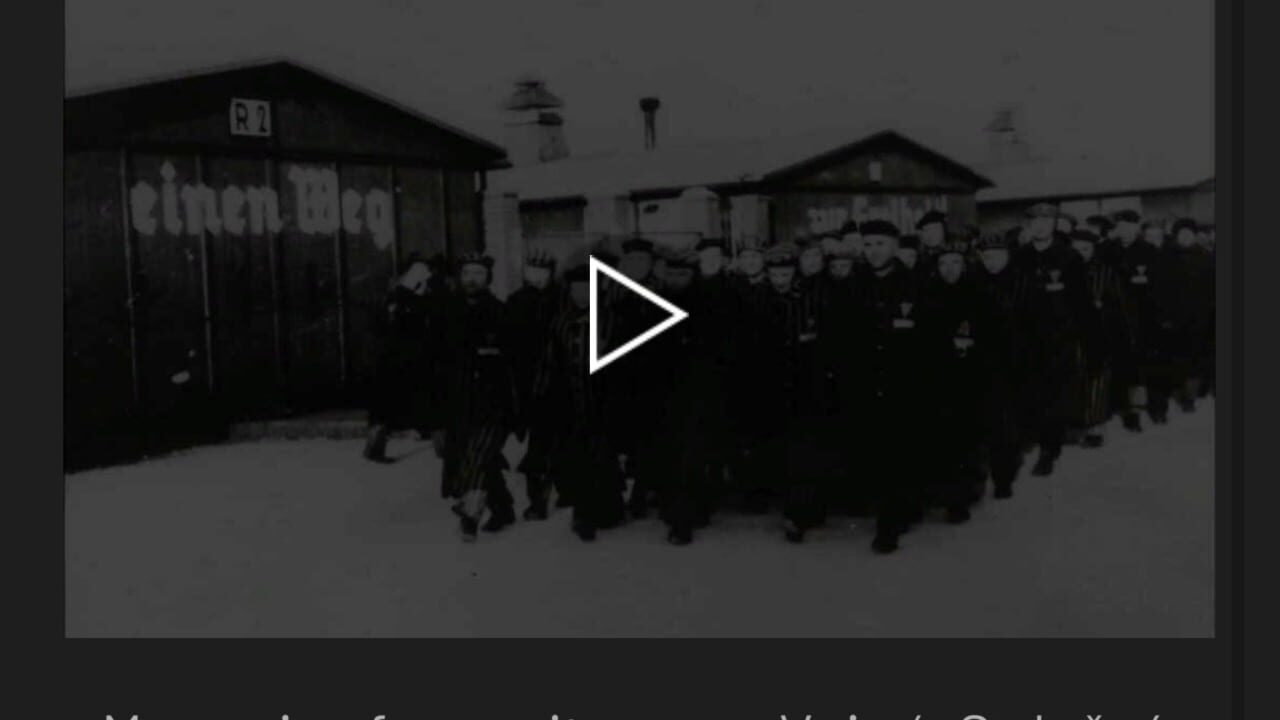 Screenshot for Train to Sachsenhausen