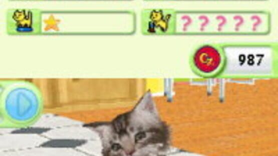 Screenshot for Petz: Catz Playground