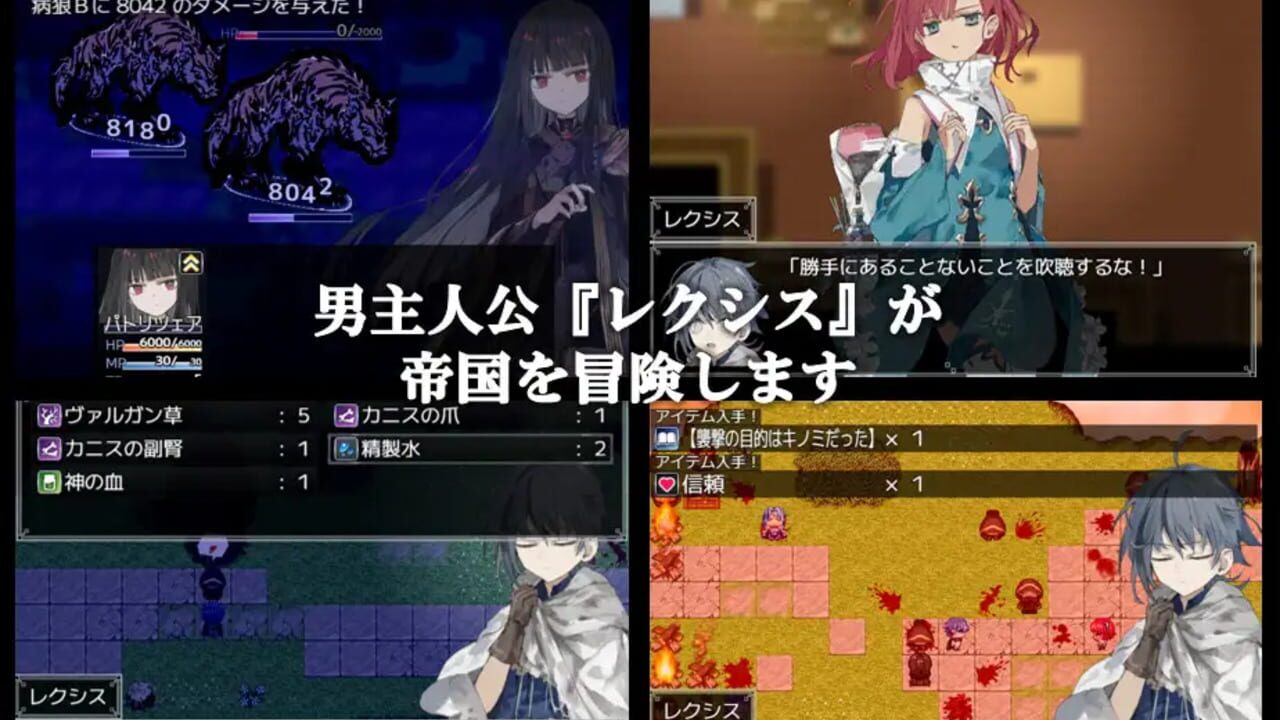 Screenshot for Physician of Armiosion