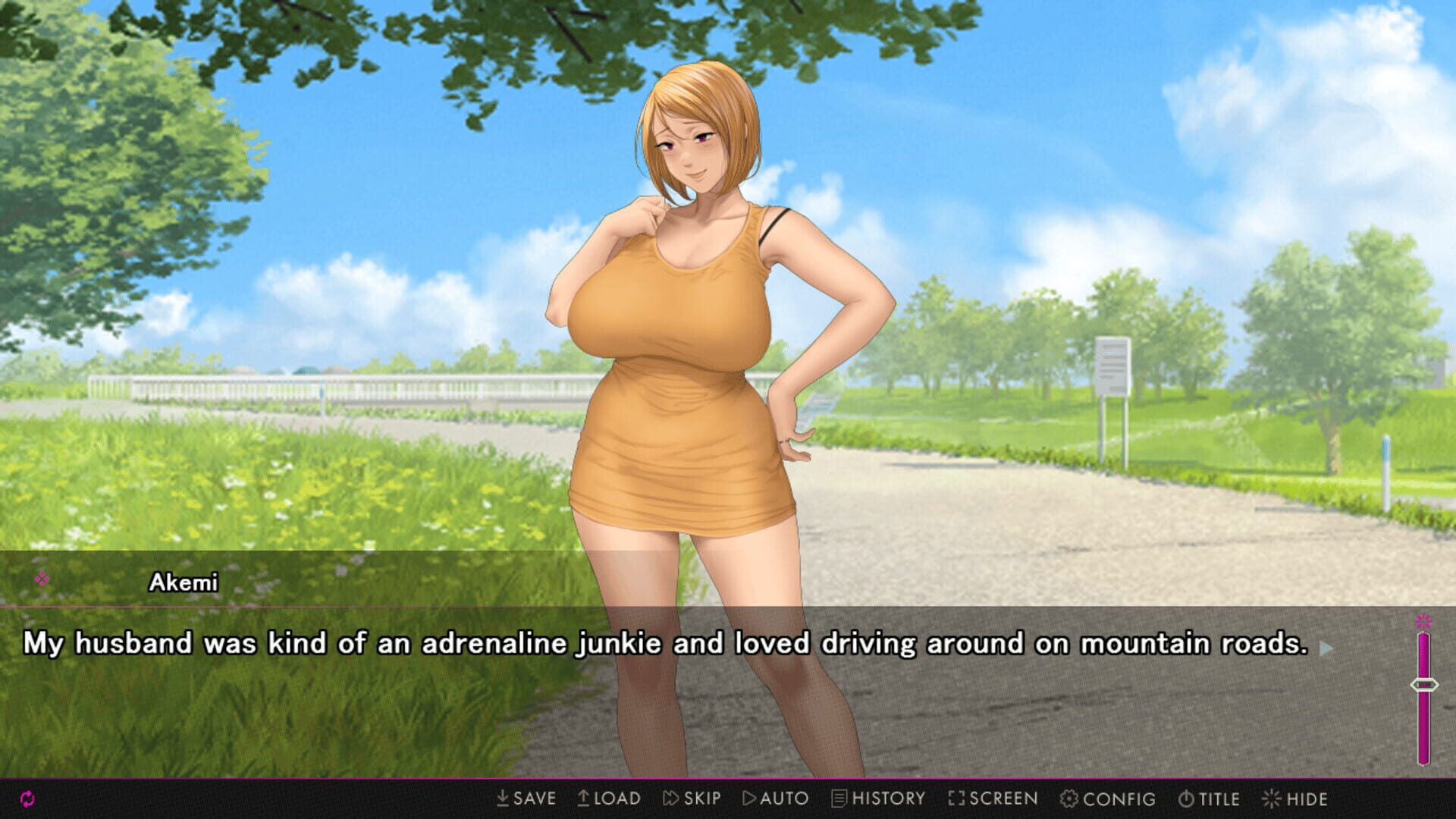 Screenshot for Afternoon Affairs & Helpless Housewives