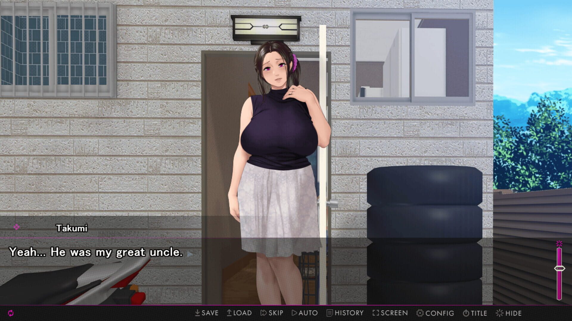 Screenshot for Afternoon Affairs & Helpless Housewives