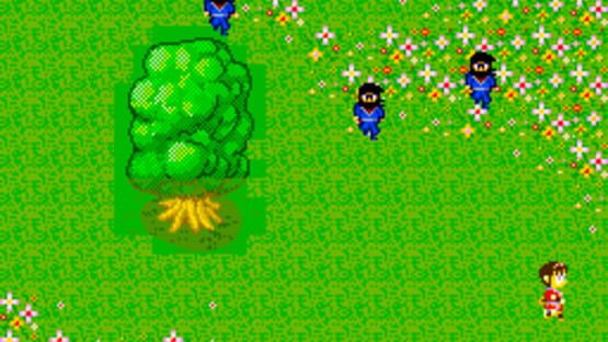Screenshot for Sega Ninja