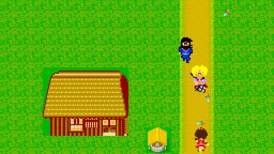Screenshot for Sega Ninja