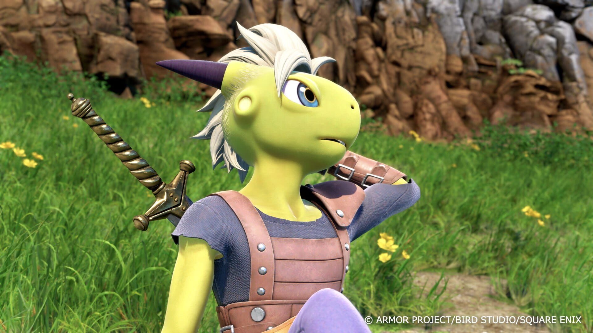 Screenshot for Dragon Quest XII: Beyond Dreams